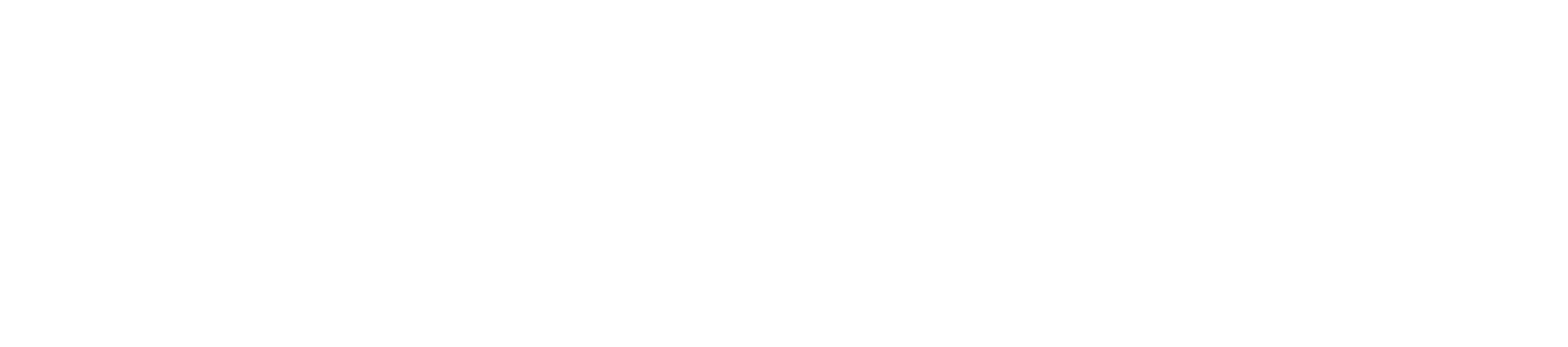 Eliisan Optiikka